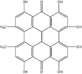 Mycoporphyrin